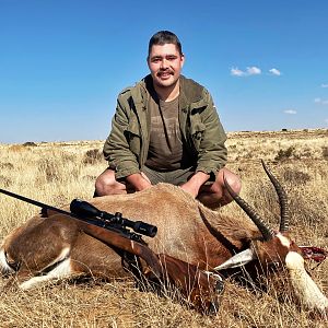 South Africa Hunting Blesbok