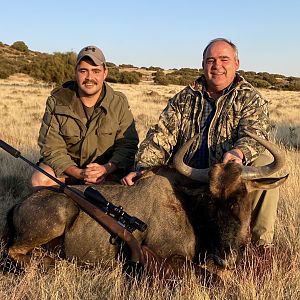 Hunting Blue Wildebeest in South Africa