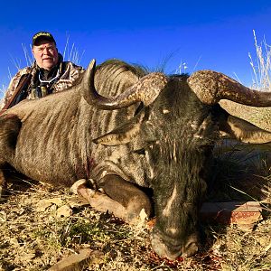 Hunt Blue Wildebeest in South Africa