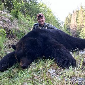 Vancouver Island, BC - coastal black bear