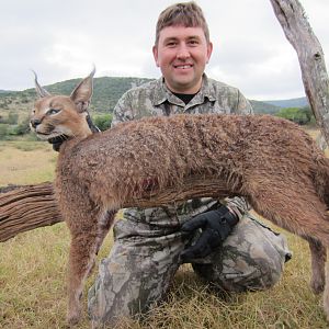 South Africa Hunting Caracal