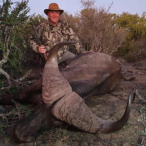 South Africa Hunt Cape Buffalo