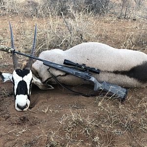 South Africa Hunting Gemsbok