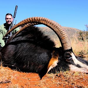 Hunting Sable Antelope in South Africa