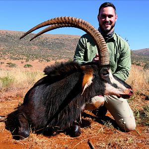 Hunt Sable Antelope in South Africa