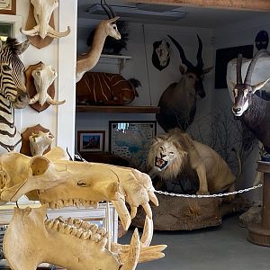 Trophy Room