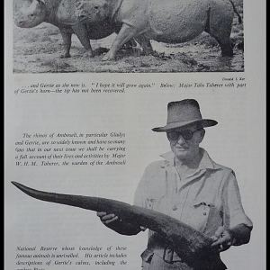 Black Rhino 'Gertie' of Kenya