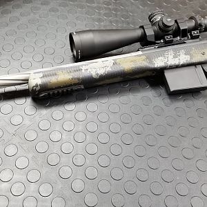 375 REM 700 Overwatch Rifle