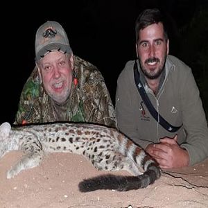 Genet Hunting Sunset Safaris