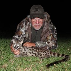 Genet Cat Hunting Sunset Safaris