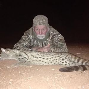 Genet Cat Hunting Sunset Safaris