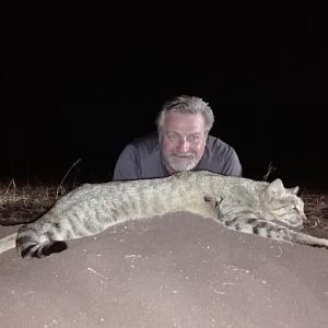 African Wild Cat Hunting Sunset Safaris