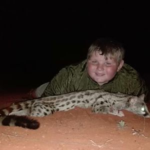 Genet Cat Hunting Sunset Safaris