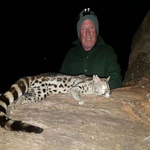 Genet Cat Hunting Sunset Safaris