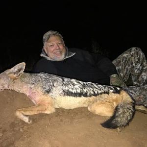 Jackal Hunting Sunset Safaris