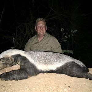 African Honey Badger Hunting Sunset Safaris