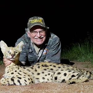 Serval Cat Hunting Sunset Safaris