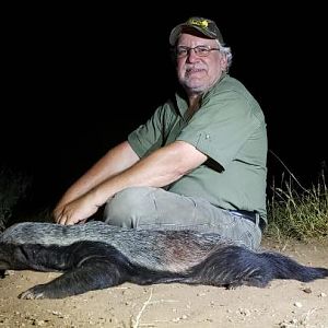 African Honey Badger Hunting Sunset Safaris