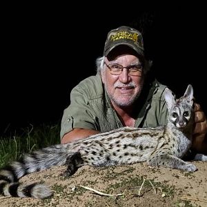 Genet Cat Hunting Sunset Safaris