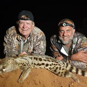 Genet Cat Hunting Sunset Safaris