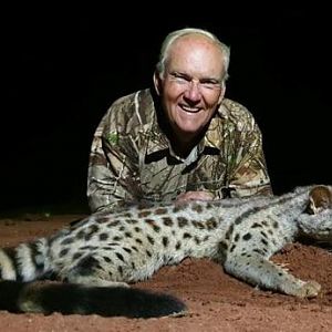 Genet Cat Hunting Sunset Safaris