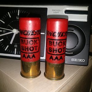 Winchester 12 Bore shot gun cartridges