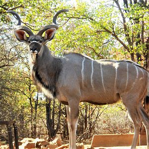 View of Kudu from Hunting Blind