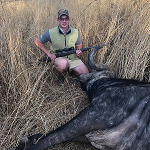 Cape Buffalo Hunt Zimbabwe