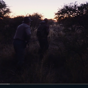 Red Stag Hunting - MG Hunting - Argentina