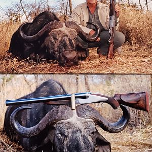 Buffalo Hunting Tanzania