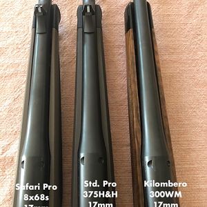 Blaser R8  - Three different stocks