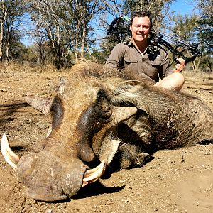 South Africa Bow Hunt Warthog