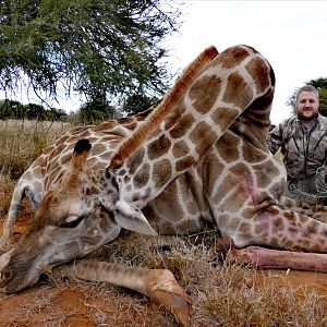 South Africa Bow Hunt Giraffe