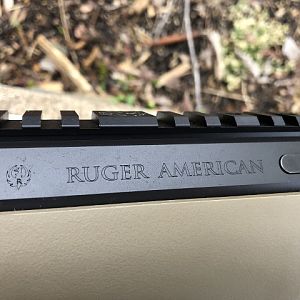 Ruger American Ranch Rifle in 450 Bushmaster