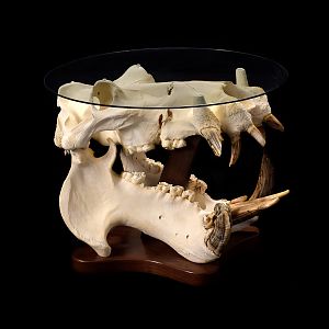 Hippo Skull Table