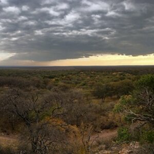 Limpopo South Africa