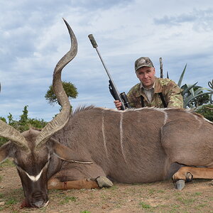 South Africa Hunting Kudu