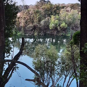 Down on the bank of the Kafue river Zambia