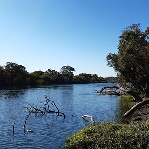 Down on the bank of the Kafue river Zambia