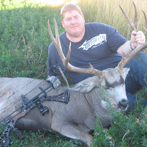 Canada Bow Hunt Mule Deer