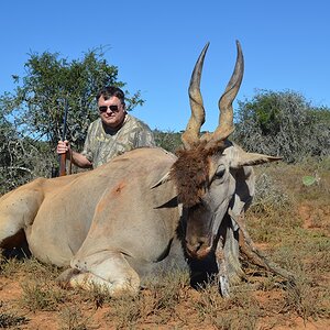 Hunting Eland in South Africa