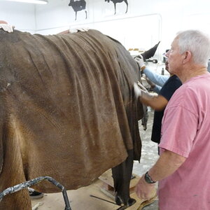 White Rhino Mounting Process