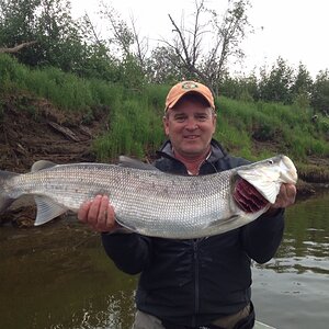 Holitna River Alaska Fishing