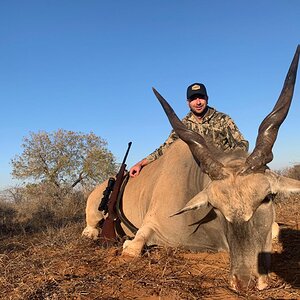 Hunting Eland in South Africa