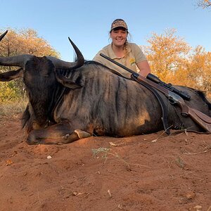 Hunt Blue Wildebeest in South Africa