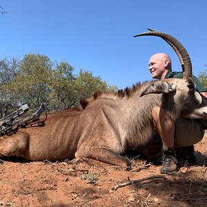 Roan Bow Hunting South Africa