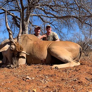 South Africa Hunt Eland