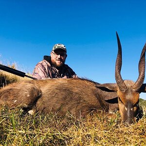 Hunt Bushbuck in South Africa