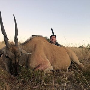 South Africa Hunting Eland