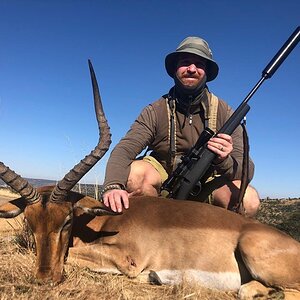 Impala Hunt South Africa